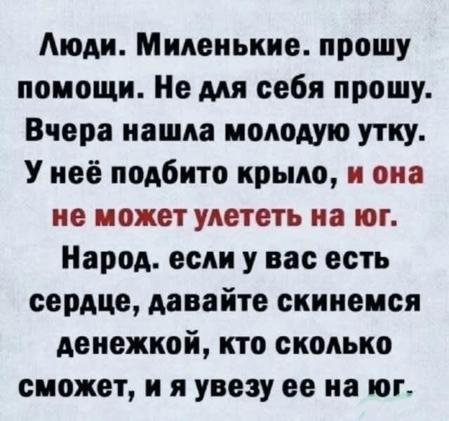 Народ, скиньтесь на юг для утки: драматичная история!