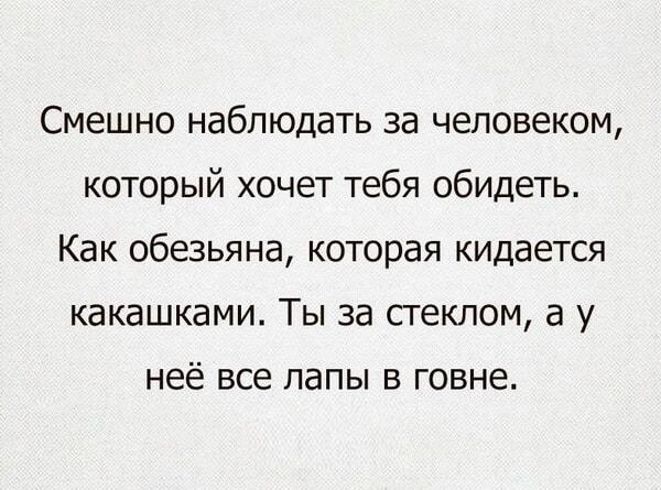 Как не обижаться: ты за стеклом, а хейтер кидается грязью!