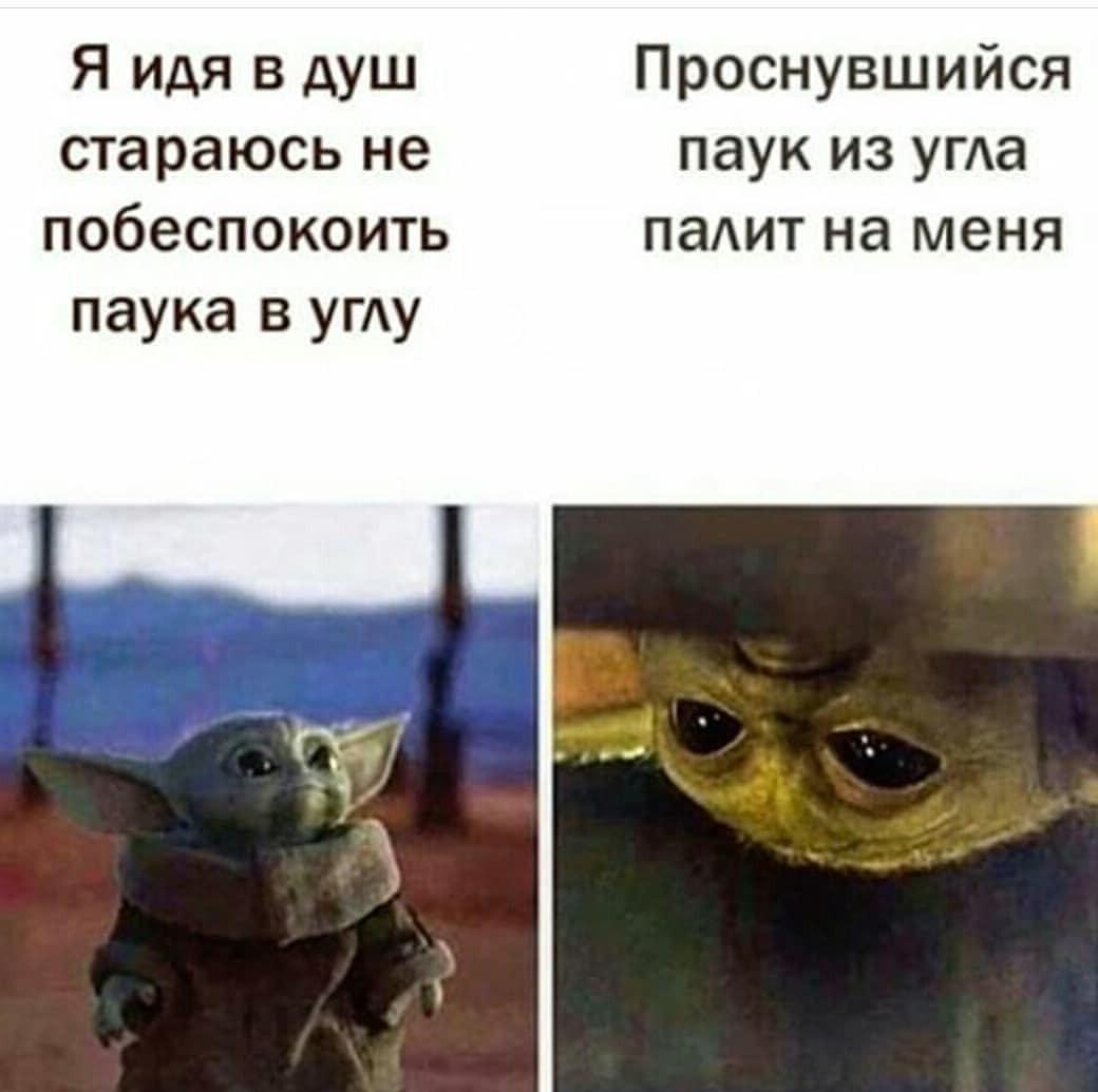 Тот самый паук в душе: мем, понятный каждому