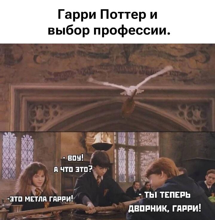 Гарри Поттер: от волшебника до дворника за один день!