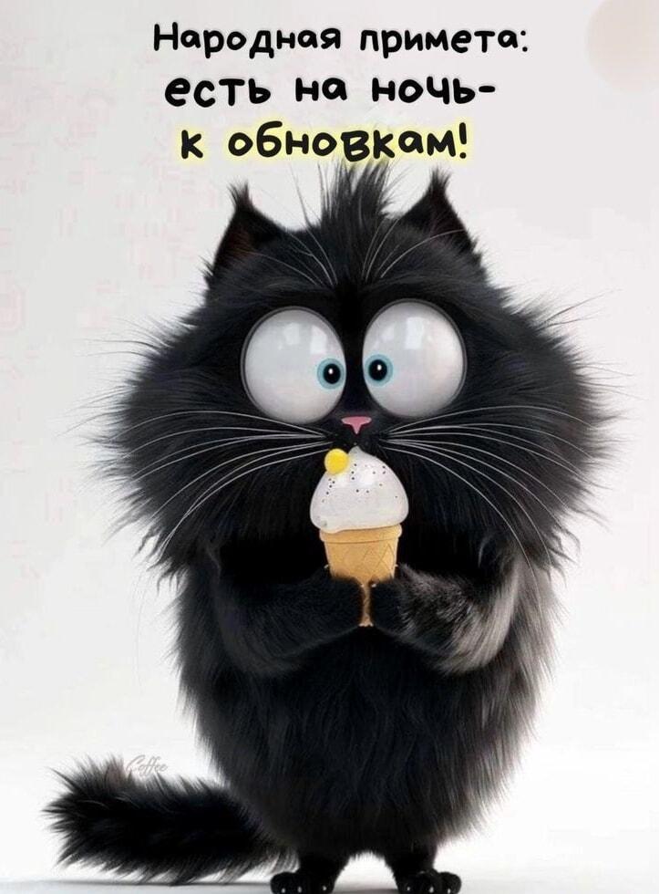Народная примета: ешь на ночь — к обновкам! Котик одобряет