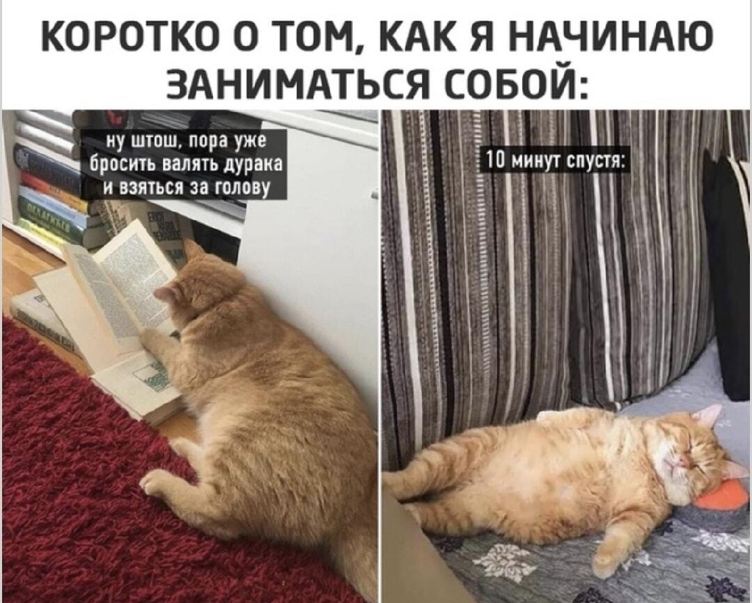 Мотивация на 10 минут: как я начинаю заниматься собой
