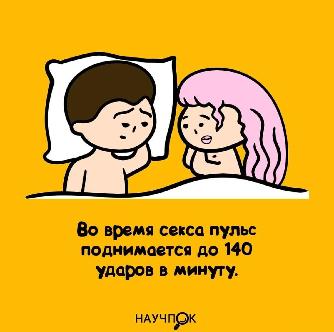 Научпоп: пульс во время секса. А у тебя сколько?