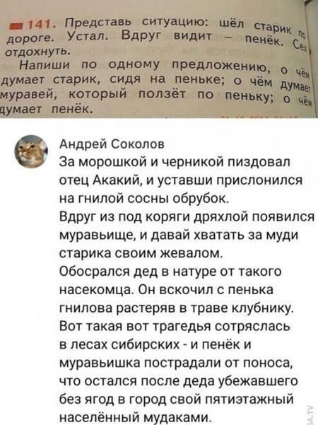 Школьное сочинение: дед, пенёк, муравей и эпичный финал!