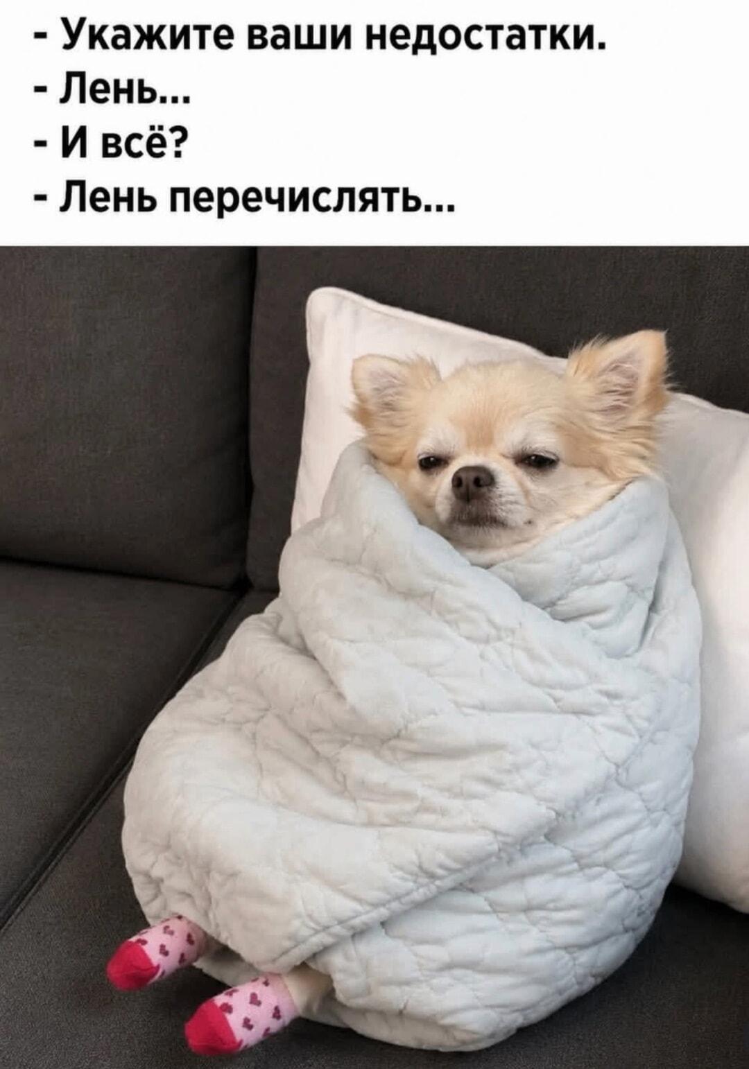 Лень даже перечислить: Когда твои недостатки — это чистая лень