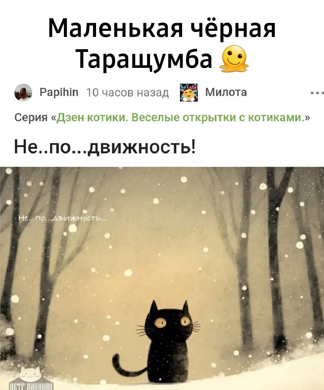 Маленькая чёрная Таращумба: Кот замер в снегу от милоты!
