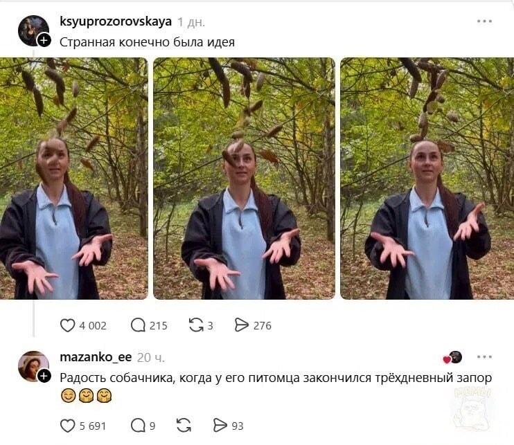 Когда прогулка с собакой вышла из-под контроля: странный дождь
