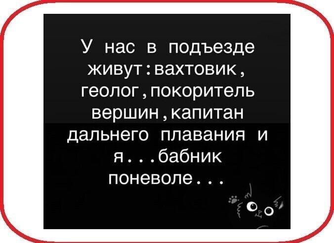 Мои соседи — герои, а я просто бабник поневоле. Жизненно!