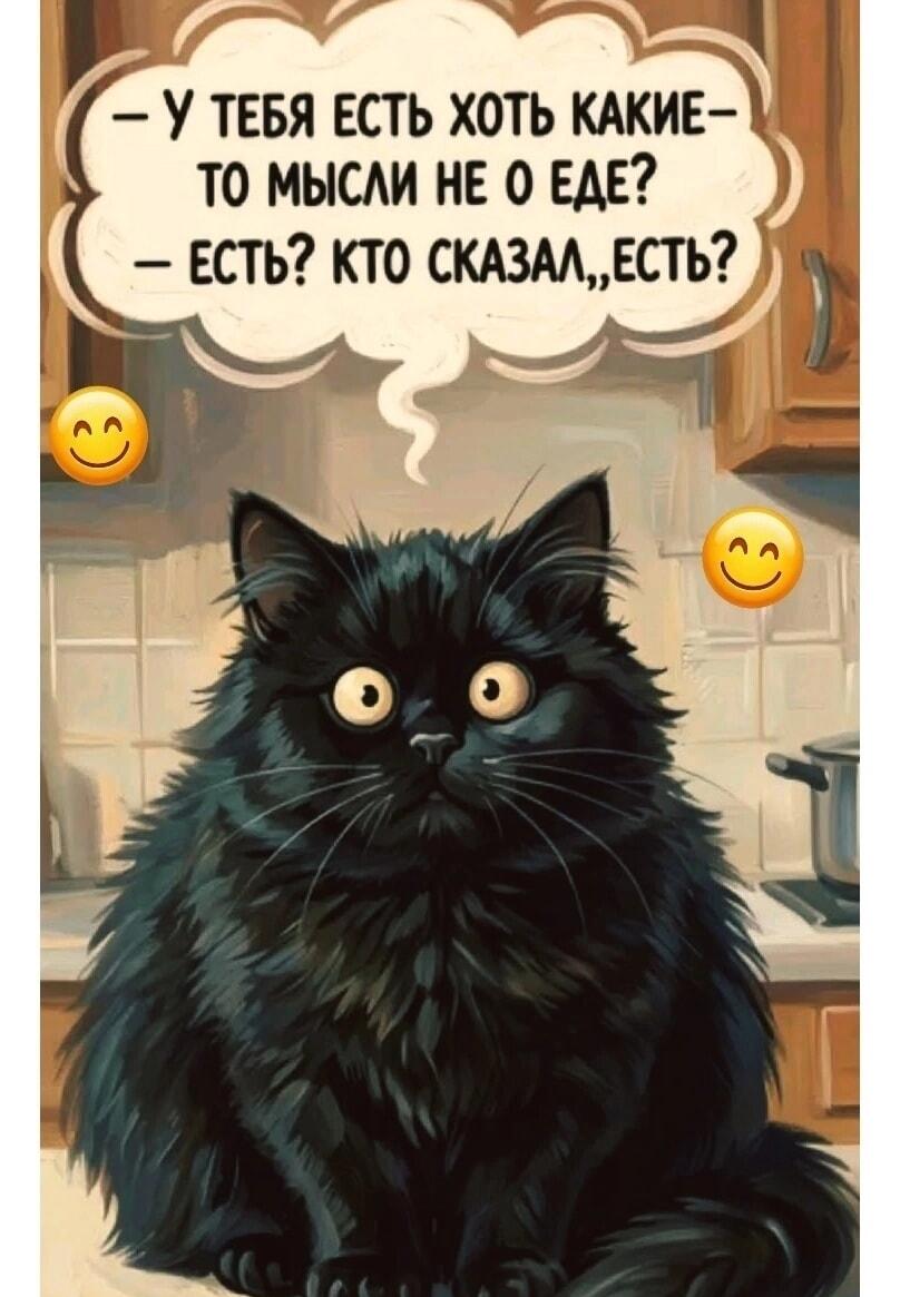 Кот услышал слово «есть» и моментально оживился!