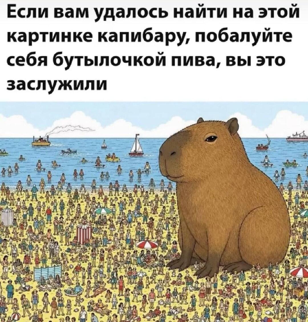 Найди капибару: квест на внимательность с сюрпризом!
