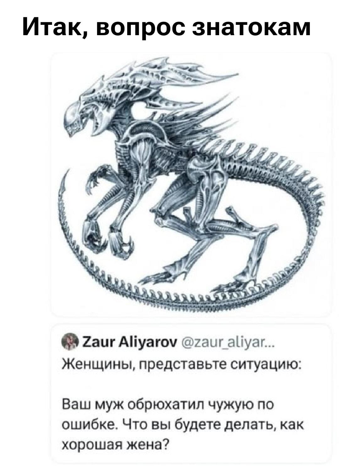 Муж обрюхатил чужую по ошибке? Вопрос знатокам и Чужому!