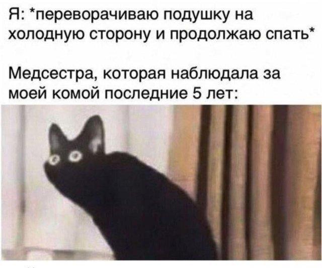 Холодная подушка: ради нее даже из комы выйдешь!