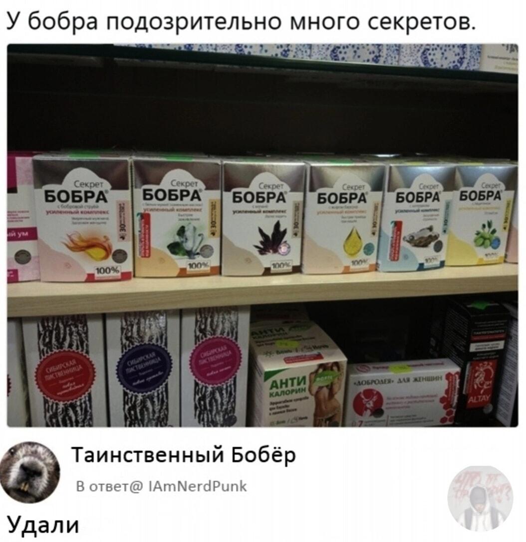 У бобра подозрительно много секретов: выбирай свой!