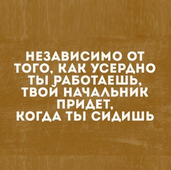 Начальник всегда приходит, когда ты сидишь: мем про офисную жизнь