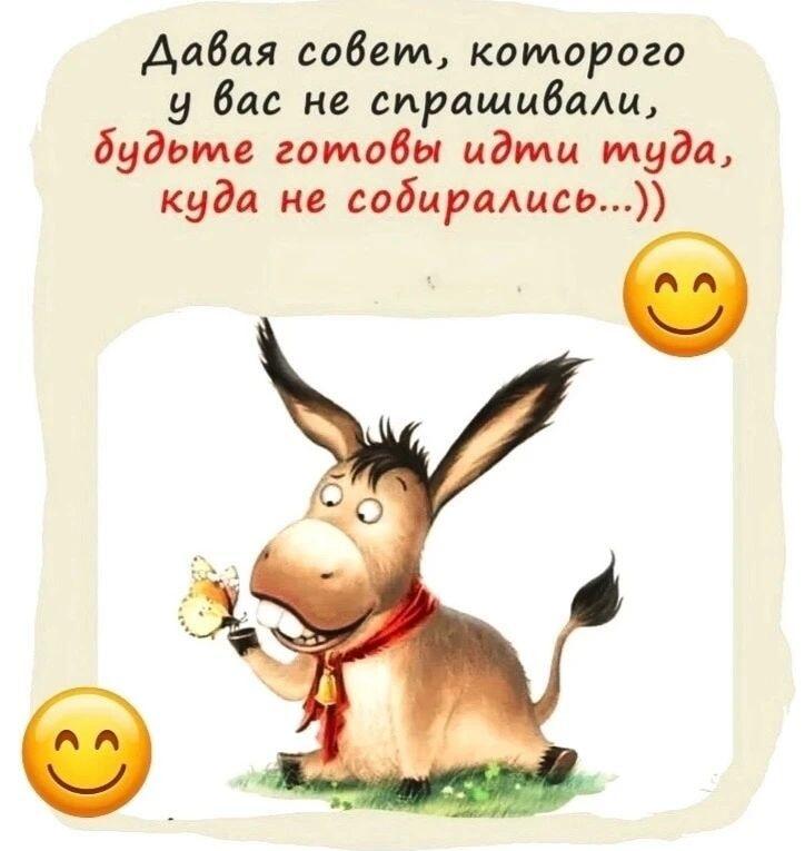Непрошеный совет: куда заведут ваши 