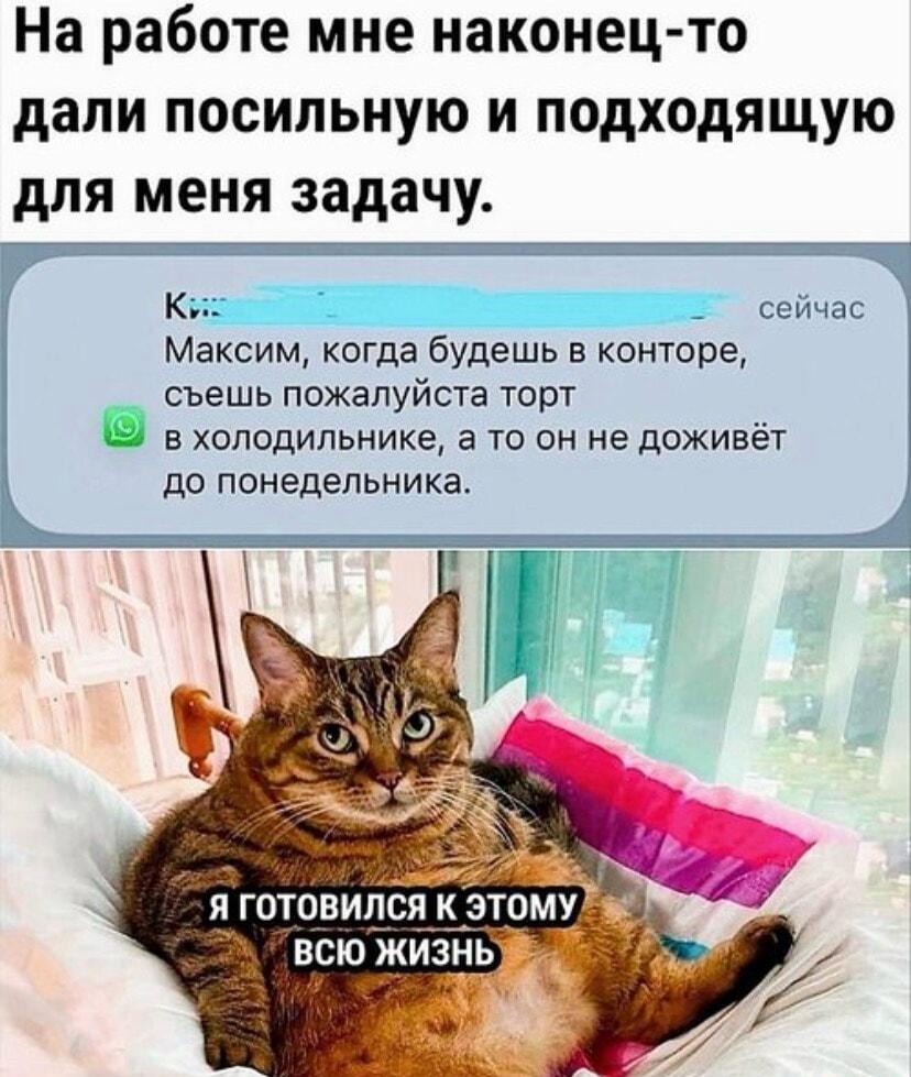 Идеальная задача: съесть торт на работе!