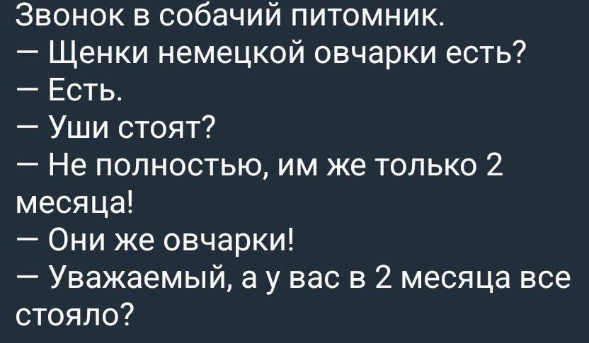 Покупатель щенка: а у вас в 2 месяца все стояло?