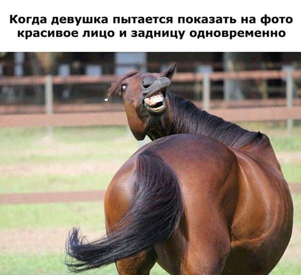 Когда девушка хочет показать лицо и задницу одновременно: мастер-класс