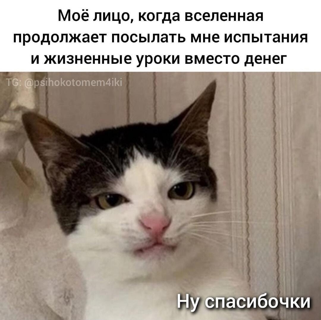 Вселенная, где мои деньги? Хватит уже уроков!