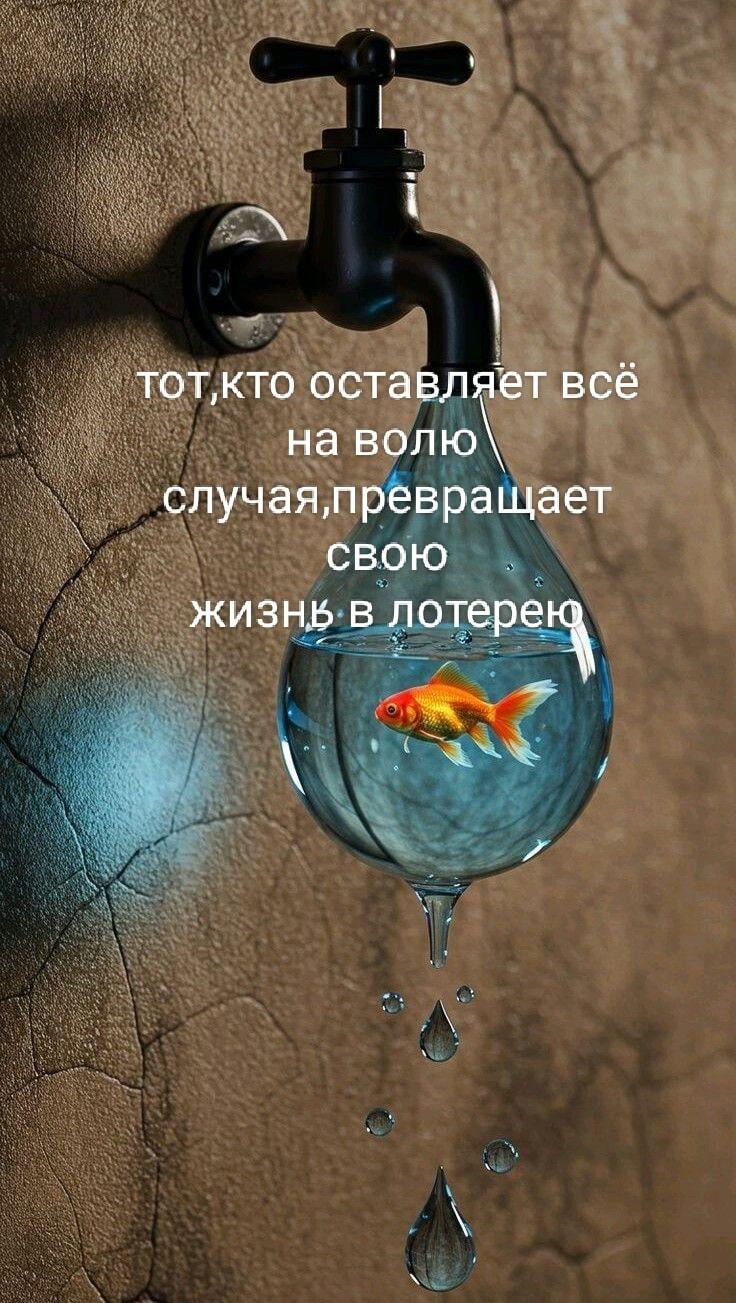 Твоя жизнь – лотерея? Рыбка в капле покажет правду!