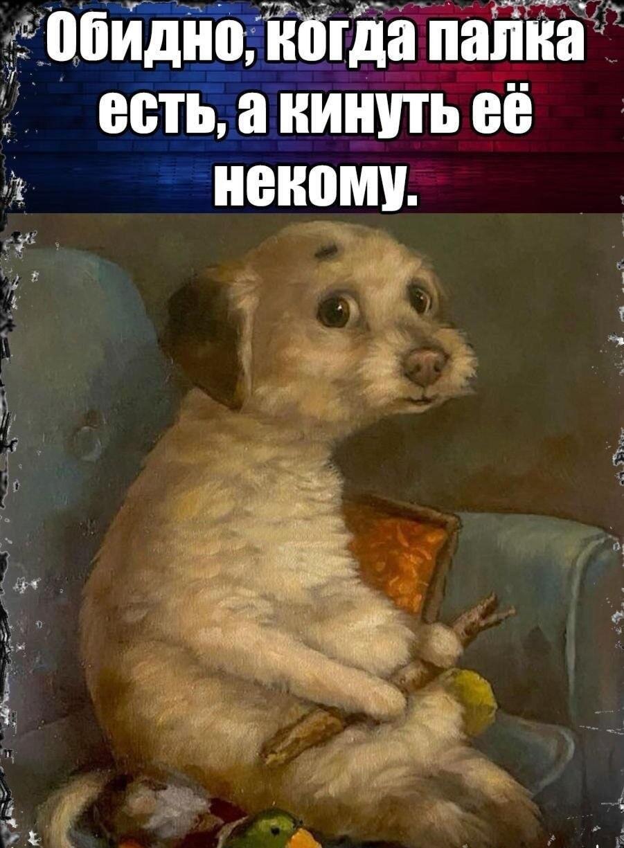 Грустный пёс с палкой: когда есть что бросить, но некому