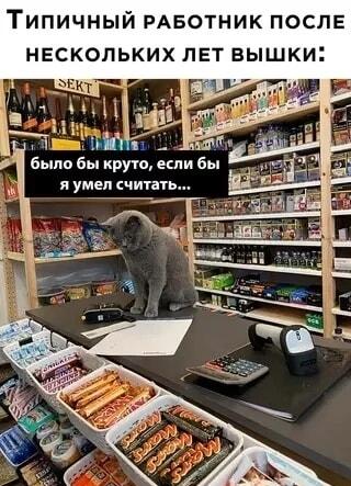 Высшее образование vs. реальность: кот-кассир не умеет считать