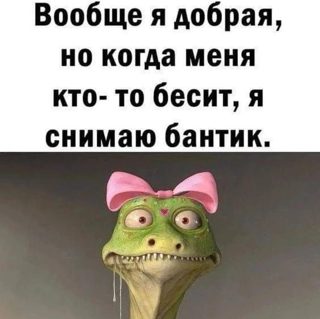 Когда бантик слетает: ярость милого создания!
