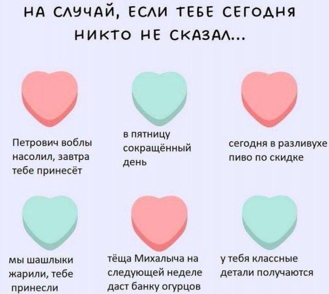 Лучшие новости дня: эти слова согреют твою душу!