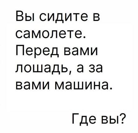 Загадка, которая проверит твою логику: самолет, лошадь, машина!