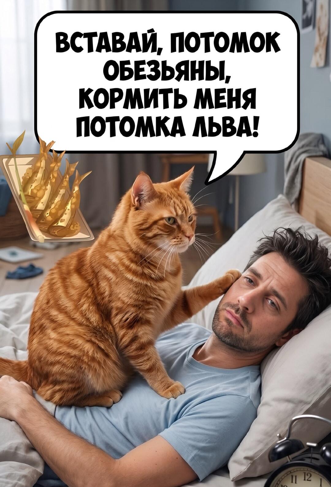 Кот-царь требует завтрак: вставай, потомок обезьяны!