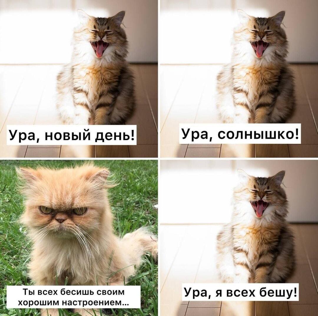 Когда твое утреннее настроение бесит всех вокруг!