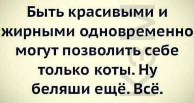 Коты и беляши: секрет красоты и полноты раскрыт!