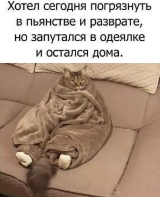 Одеялко победило разврат: смешные планы на вечер отменяются!
