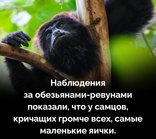 Мужики, кричите потише: ученые раскрыли пикантный секрет!