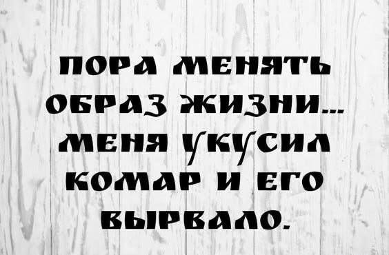 Моя кровь настолько токсична, что даже комар не выдержал!