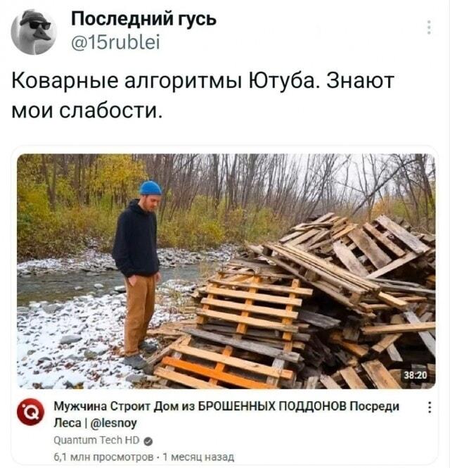 Ютуб снова угадал: дом из поддонов — моя тайная мечта?