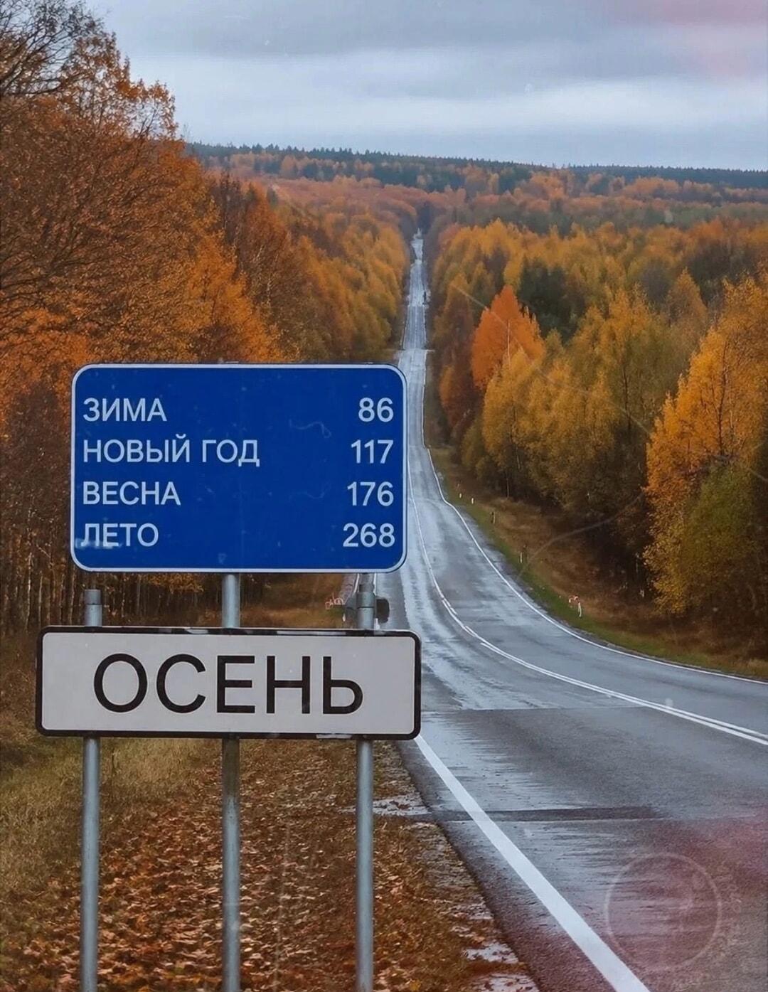 Когда осень, а ты уже ждешь Новый год и лето
