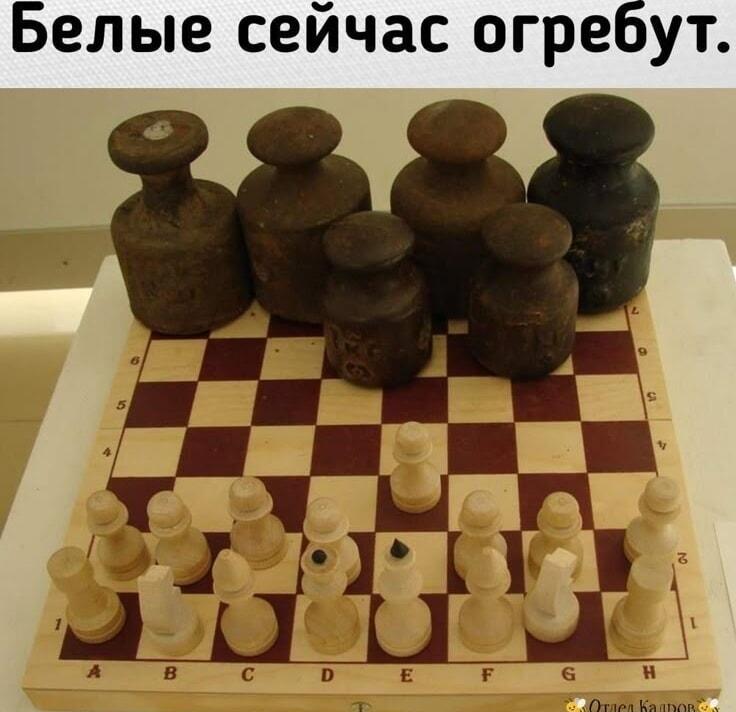 Шахматы: когда твой оппонент принес 
