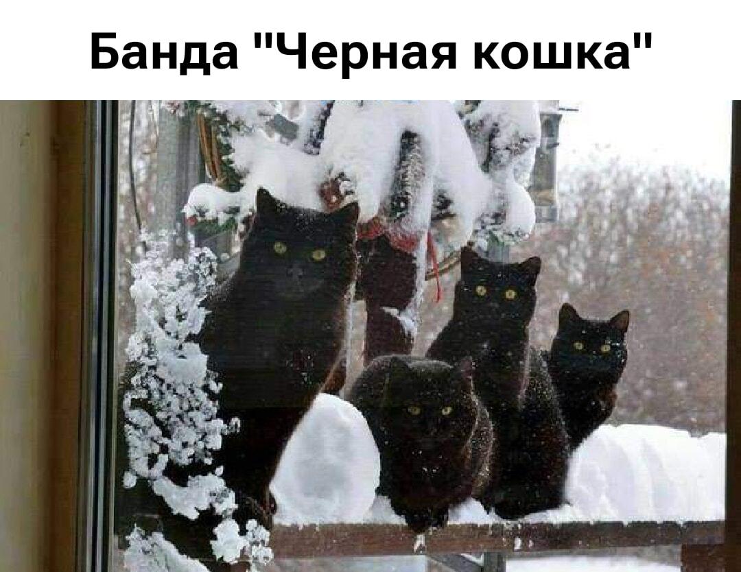 Банда 
