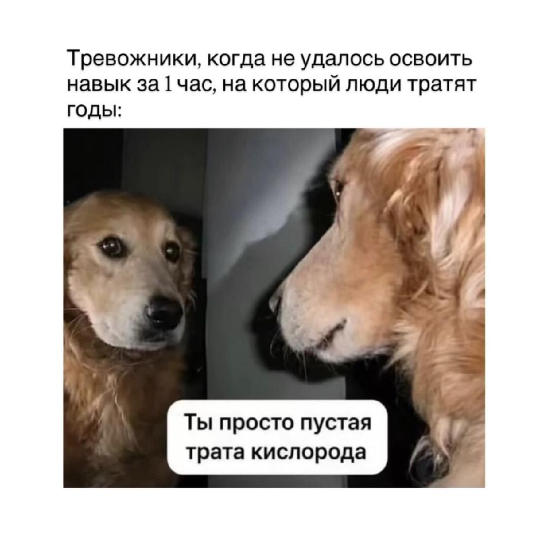 Тревожники, когда не освоили навык за час: внутренний критик беспощаден!