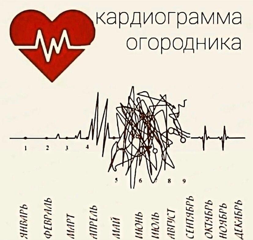 Кардиограмма огородника: пульс на даче бьет ключом!