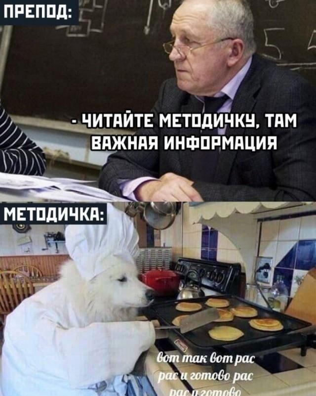 Когда препод просит читать методичку, а там собака-повар!