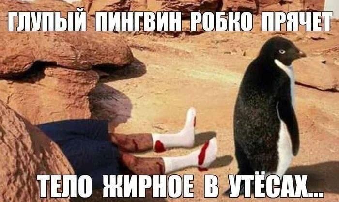 Глупый пингвин робко прячет: классика мемов возвращается!
