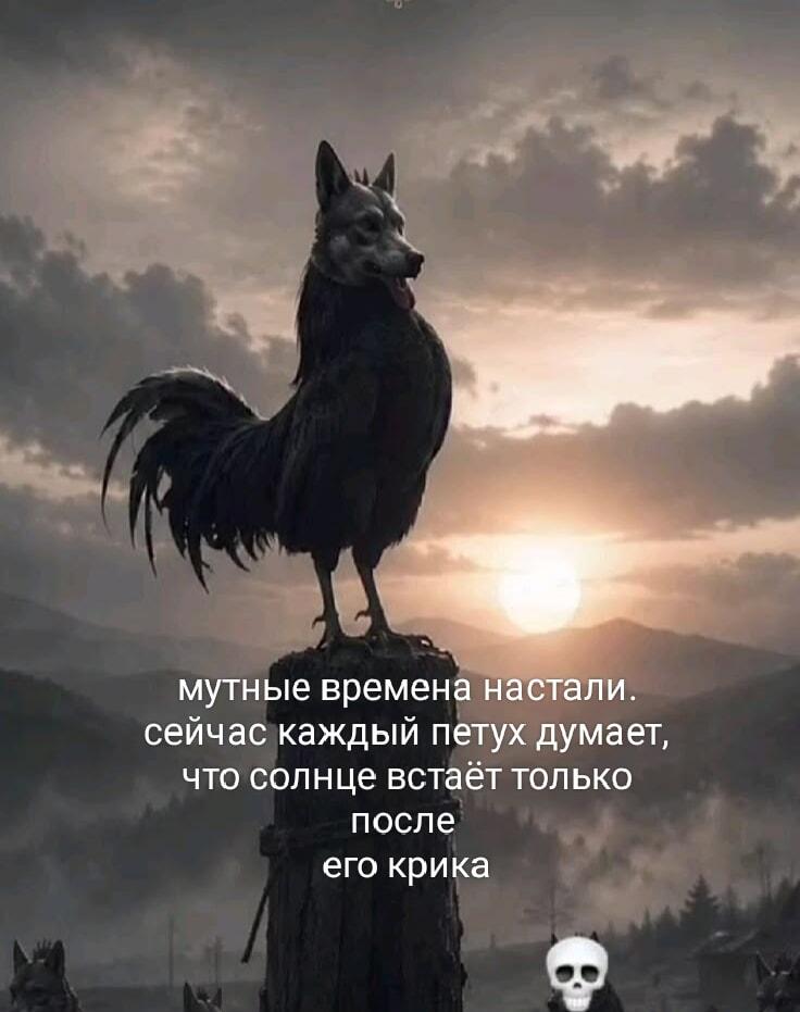 Когда каждый петух считает себя солнцем: мемы про самомнение