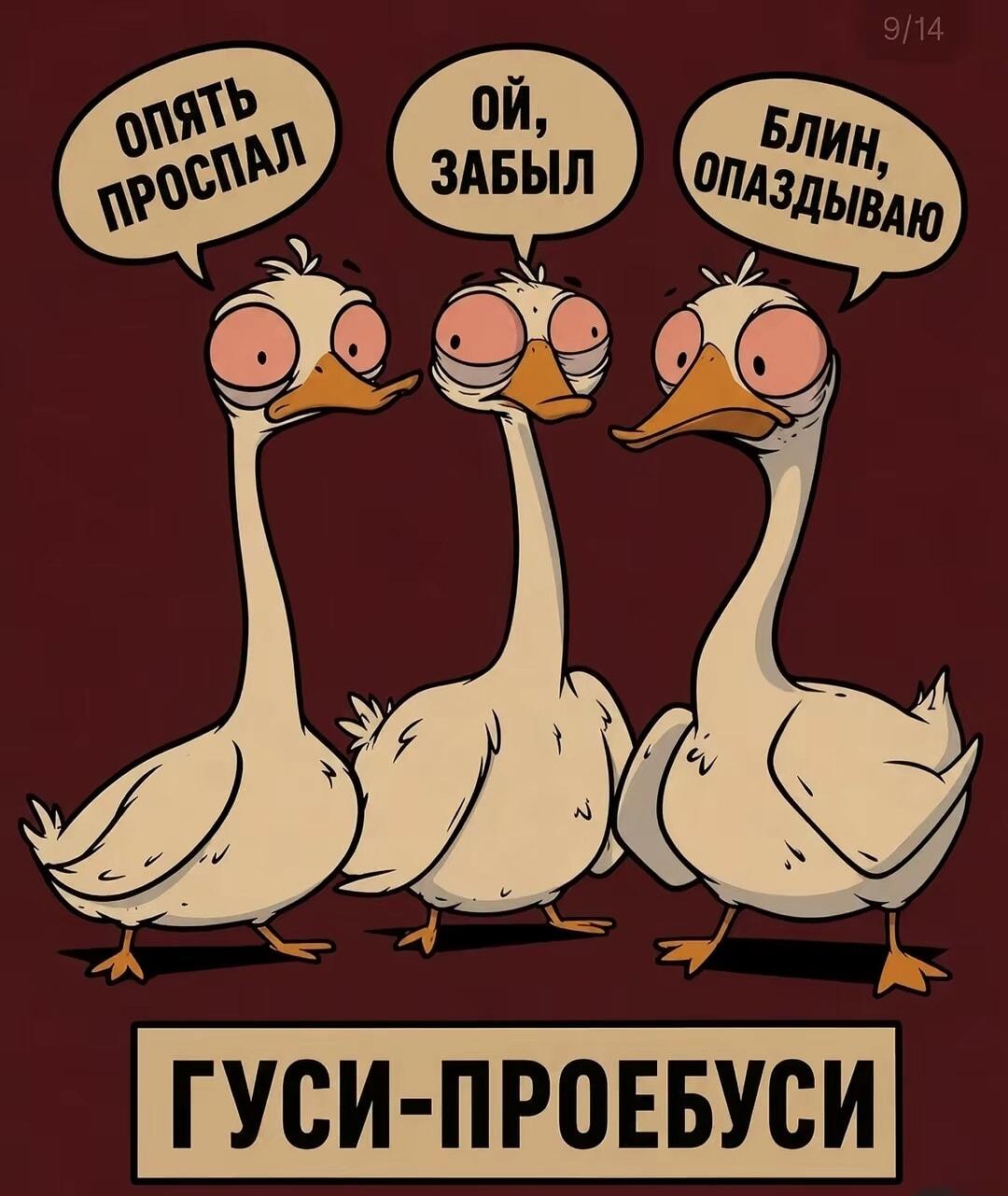 Гуси-проебуси: узнай себя в этих трех утренних страданиях!