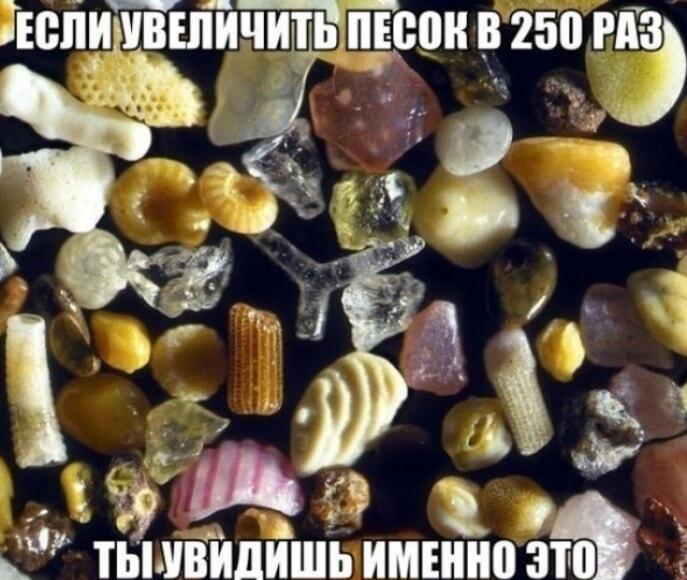 Песок под микроскопом: ты не поверишь своим глазам!
