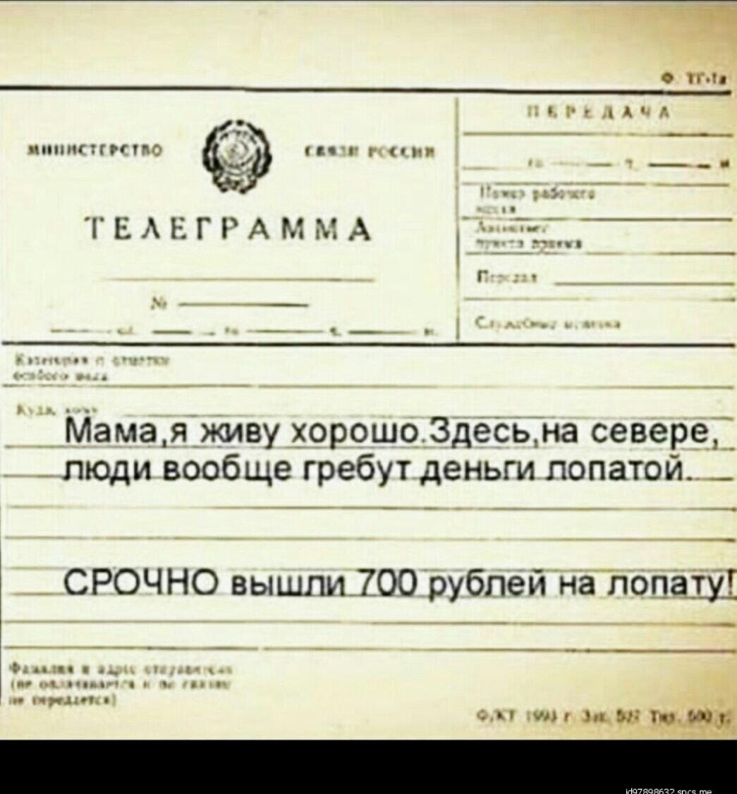 Мама, вышли 700 рублей на лопату! Северные истории