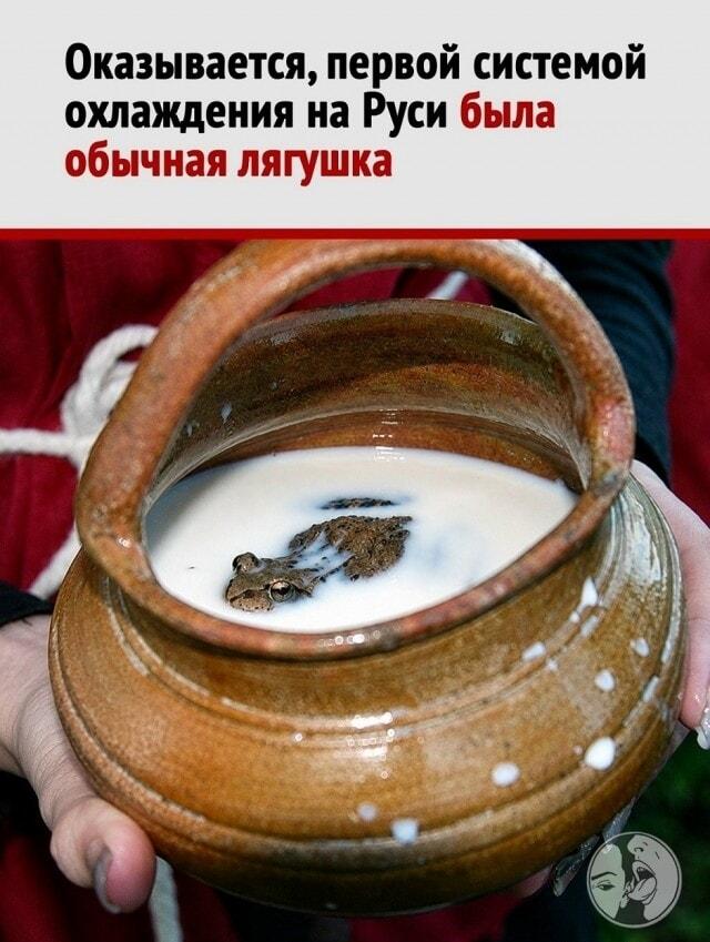 Лягушка в молоке: древний секрет охлаждения на Руси!