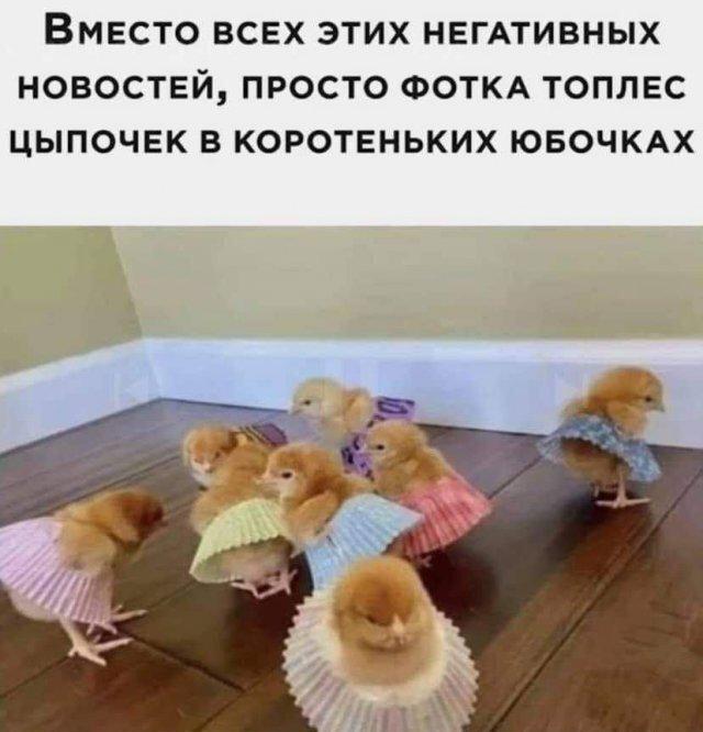 Вместо плохих новостей: вот вам топлес цыпочки в юбочках!