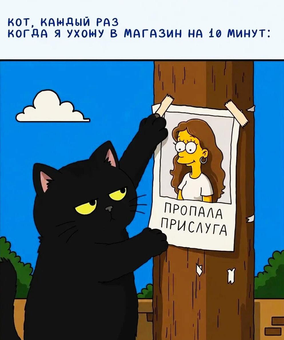 Мой кот думает, что я его прислуга: драма на 10 минут